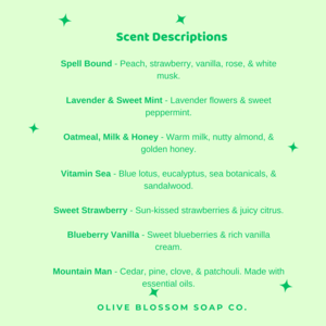 Travel Size Shampoo Bar And Conditioner Bar Set