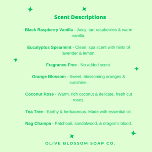 Shampoo And Conditioner Bar Set