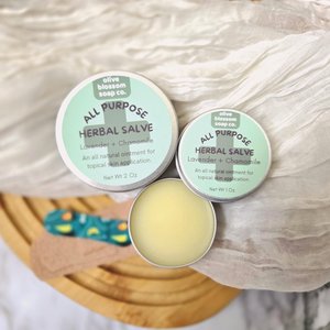 All Purpose Herbal Salve