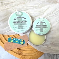 All Purpose Herbal Salve